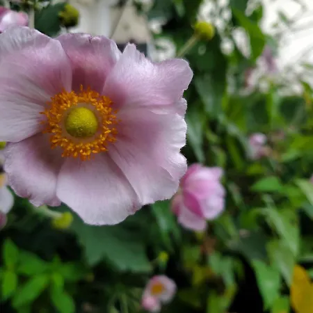 Privatpension Waldbroel Bed & Breakfast 3*