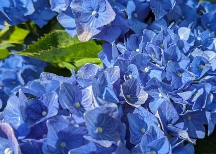 Privatpension Waldbroel