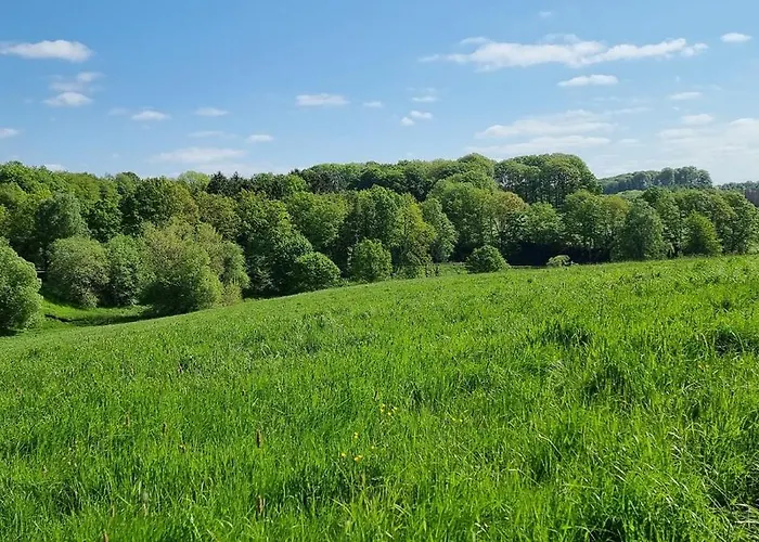 Privatpension Waldbroel 住宿加早餐酒店 瓦尔德布勒尔