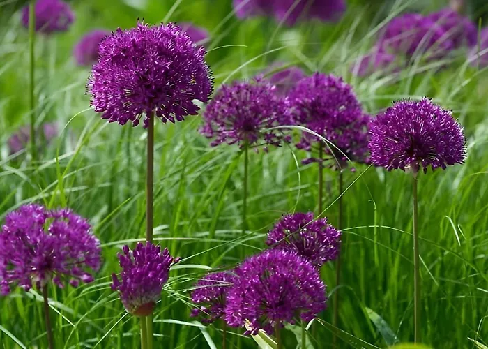 Bed & Breakfast Privatpension Waldbröl 3*