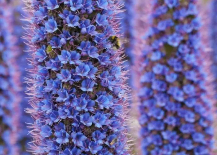 Privatpension Waldbröl Waldbrol